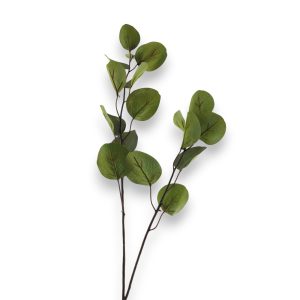 Eucalyptus 80cm - grænt