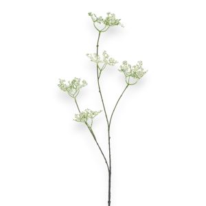 Five Claw Dragon 93cm - kremað