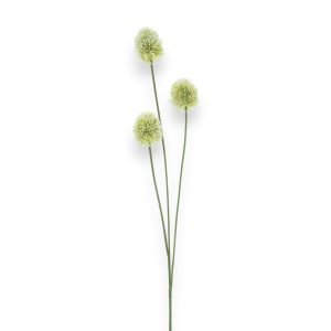 Allium 81cm - kremaður