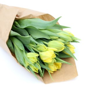 Túlípanar 10stk - gulir