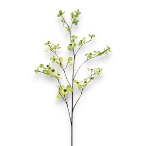 Dogwood Risa 82cm - græn