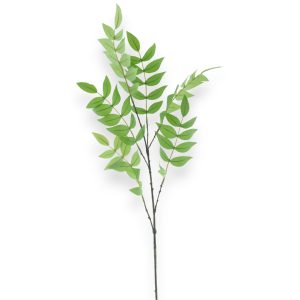 Fraxinus 86cm - græn