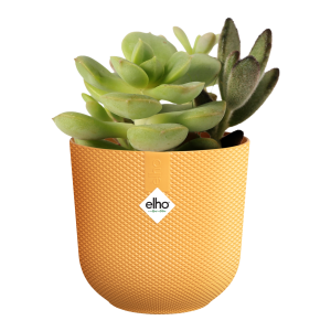 Jazz mini plastpottur - gulur