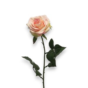 Rós Dijon 64cm - bleik