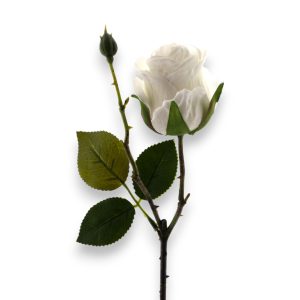 Rós Sara 45cm - kremuð