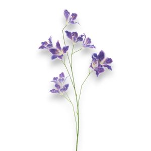 Lily Wild 86cm - fjólublá
