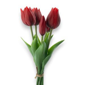 Túlípanabúnt Sally 25cm - rautt