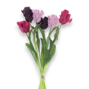 Túlípanabúnt Parrot 51cm - bleikt/fjólublátt