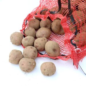 Hornafjarðar Rauðar 5kg