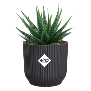 Vibes mini plastpottur – svartur