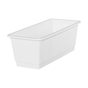 Svalakassi - hvítur