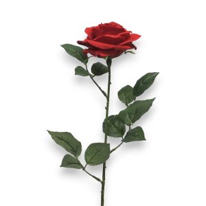 Rós Dijon 64cm - rauð