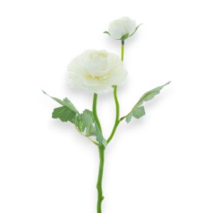 Ranunculus Sauerland 37cm - kremaður