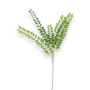 Murraya 94cm - grænt