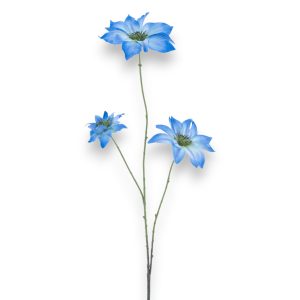 Clematis 89cm - blátt