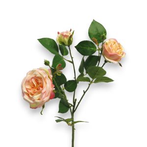 Rós Italian 61cm - ferskjulituð