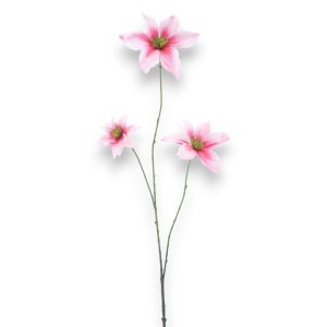 Clematis 89cm - bleikt