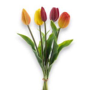 Túlípanabúnt Holland 36cm - rautt/appelsínugult