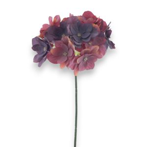 Hortensía Baldwin 45cm - rauð/fjólublá