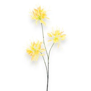 Spider Blómagrein 94cm - gul