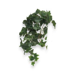 Ivy Chicago 46cm - græn