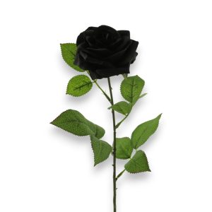 Rós Dijon 64cm - svört