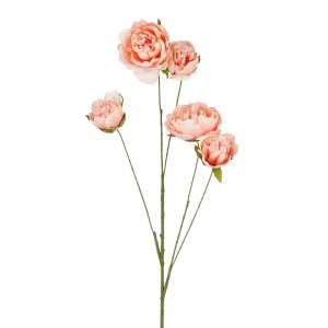 Peony Leafless - 110cm peach