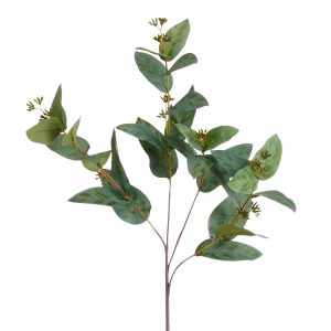 Eucalyptus - 82cm græn
