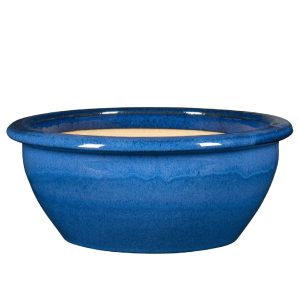 IB Bologna skál - blá