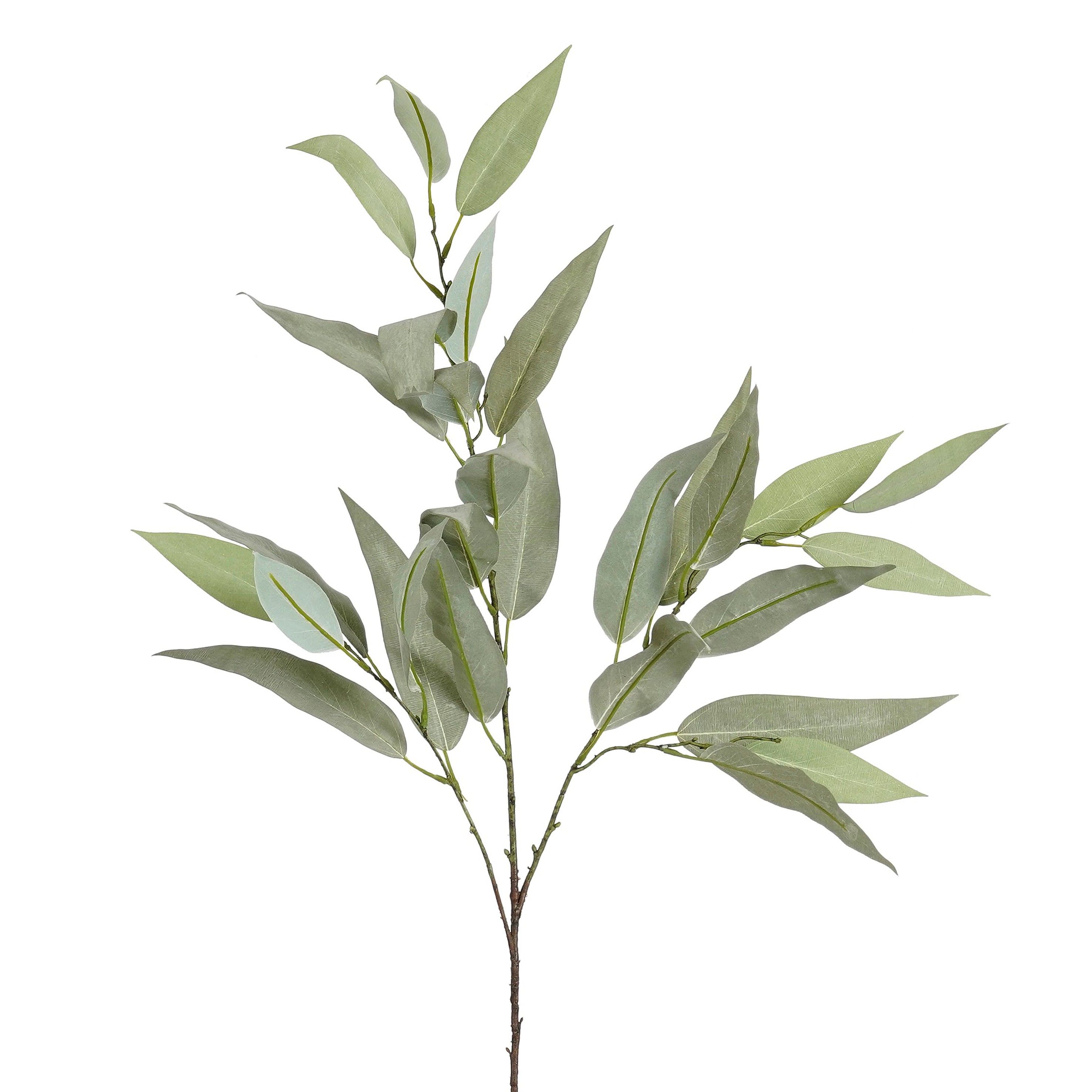 Eucalyptus - 120cm græn