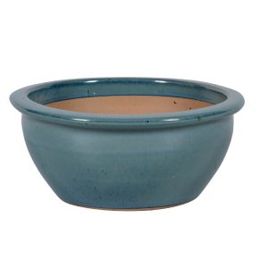 IB Bologna skál - grænblá