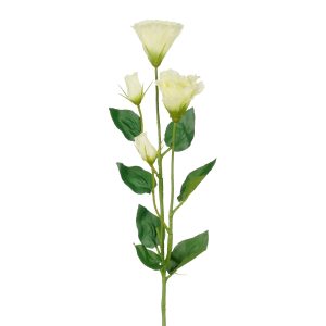 Lisianthus - 72cm ljós græn