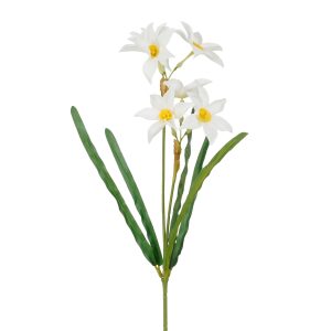 Daffodil - 57cm white