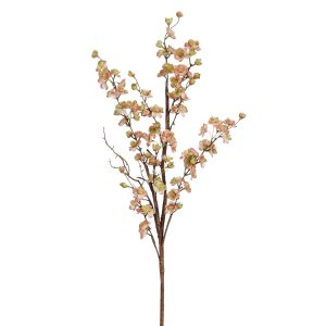 Peach blossom branch d. pink