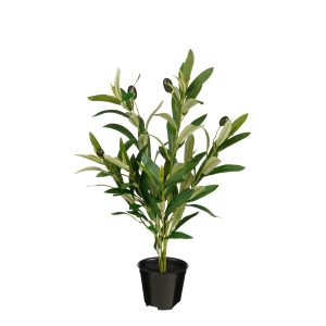 Olive tree in pot - 46x