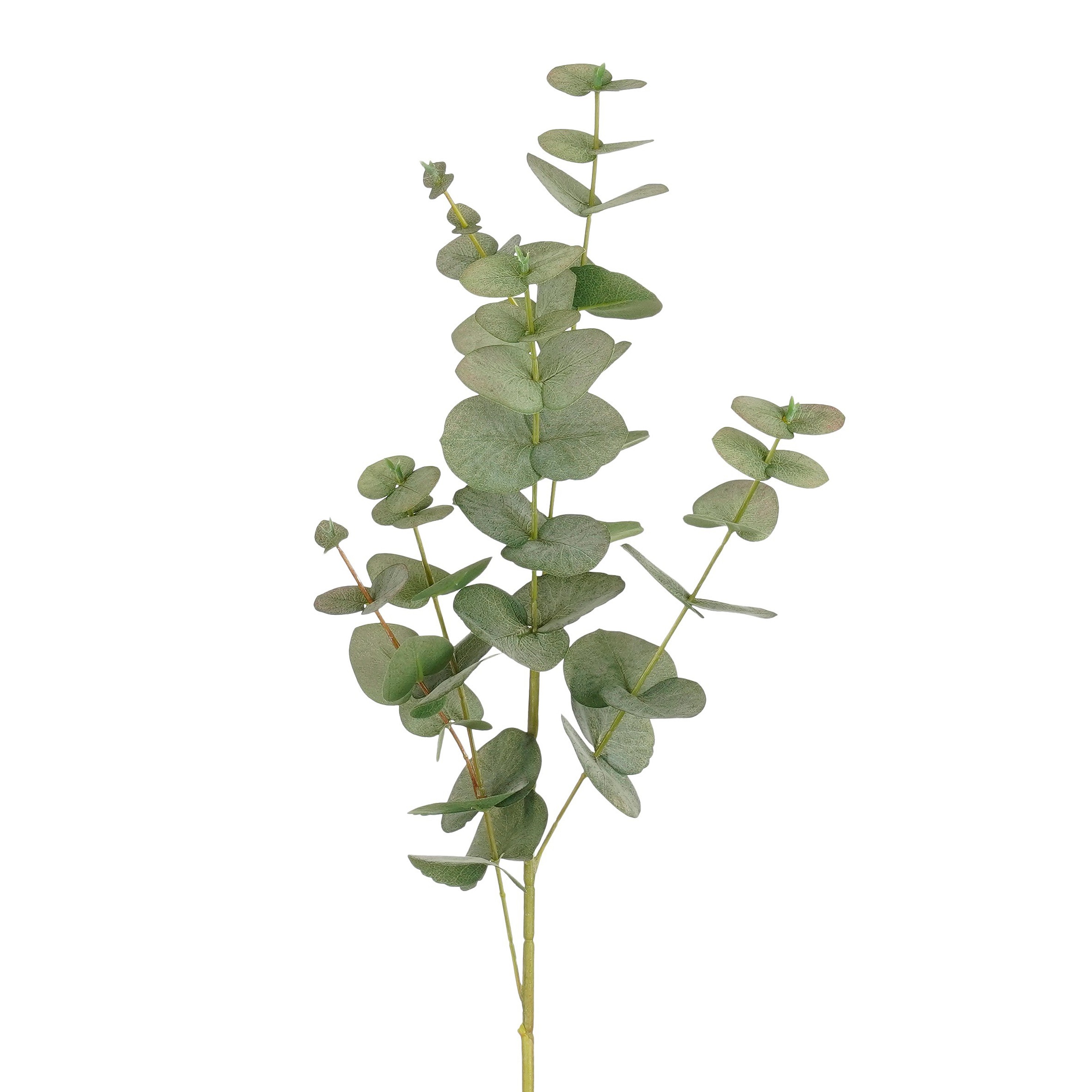Eucalyptus - 85cm græn