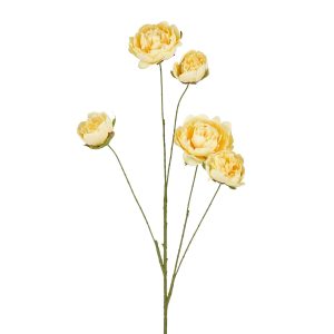 Peony Leafless - 110cm gular