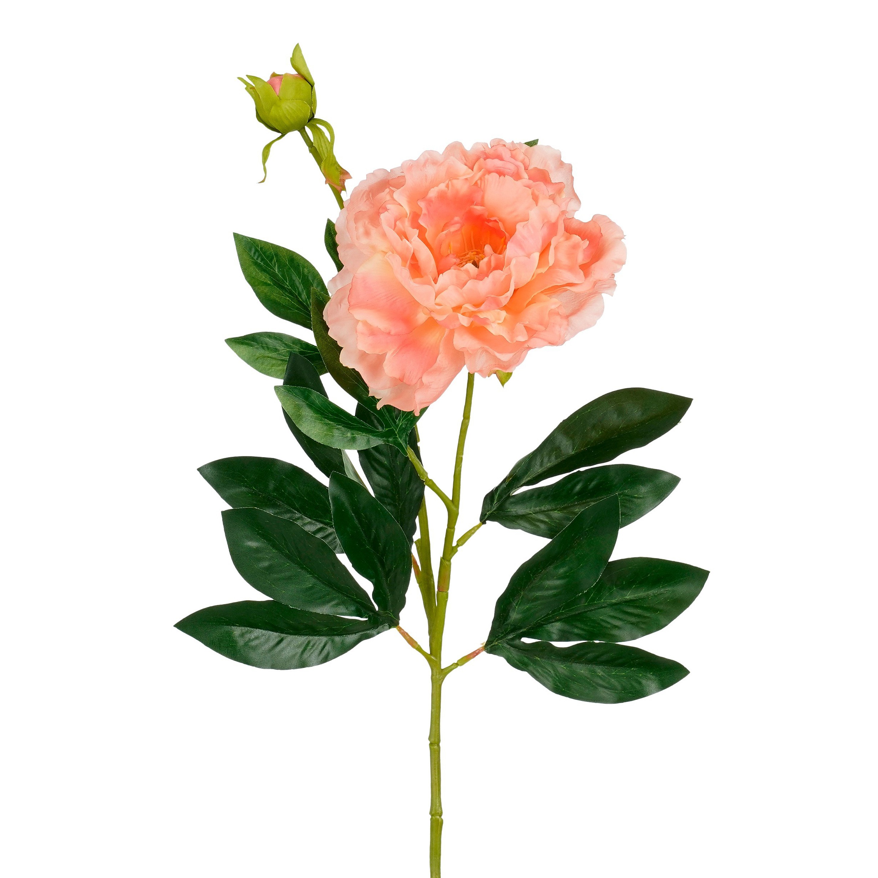 Peony - 70cm laxableikt