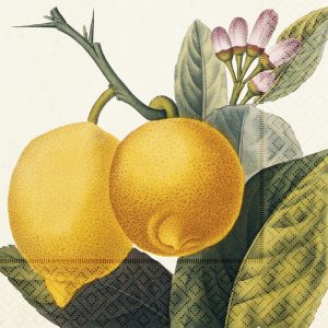 Servíettur 33x33 Lemons