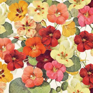 Servíettur 33x33 Summer bloom