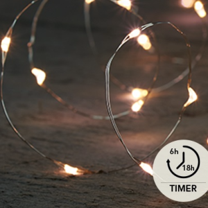 Vír silfur 40 LED m/timer w.w