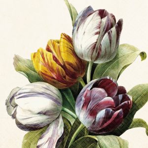 Servíettur 33x33 Purple tulips