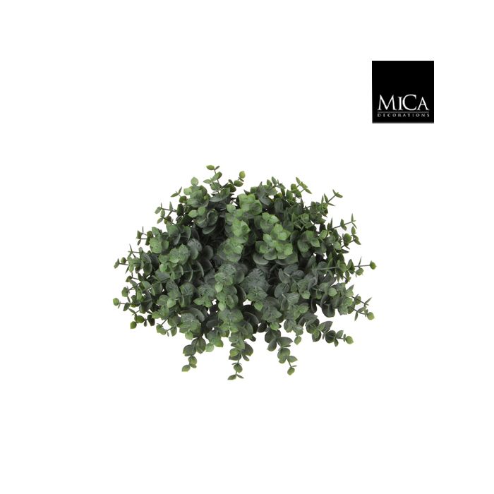 Eucalyptus kúla græn 15cm