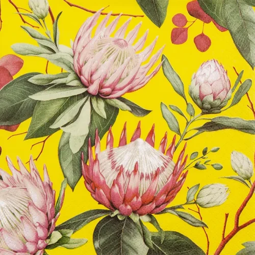 Madiba Protea Gular servíettur 33x33cm