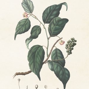 Mynd 18x24 Magnolia