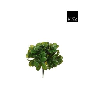 Crassula l20cm græn