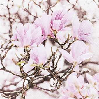 Pink Magnolia servíettur 25x25cm