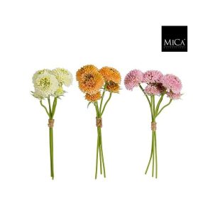Dahlia búnt 3 litir