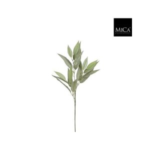 Eucalyptus green - 78cm