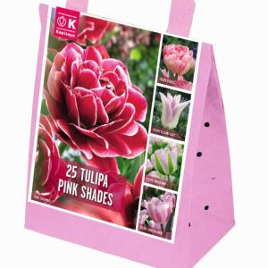 Túlípanar Pink Shades 25 stk, 5 teg - bleikir